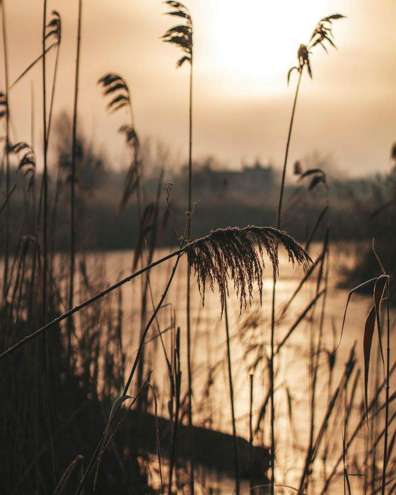 Express Solutions Australia - Image 10